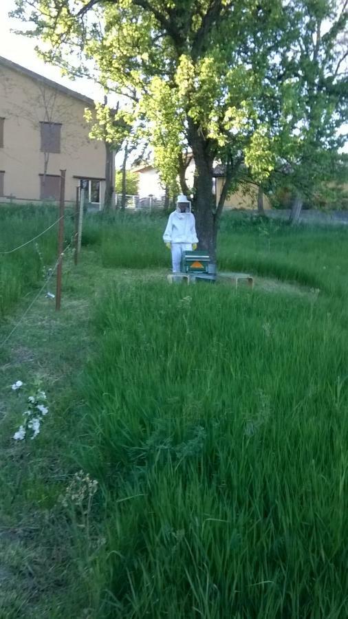 Bed and Breakfast Agricola Tre Rii Sidreria Corniglio Exterior foto